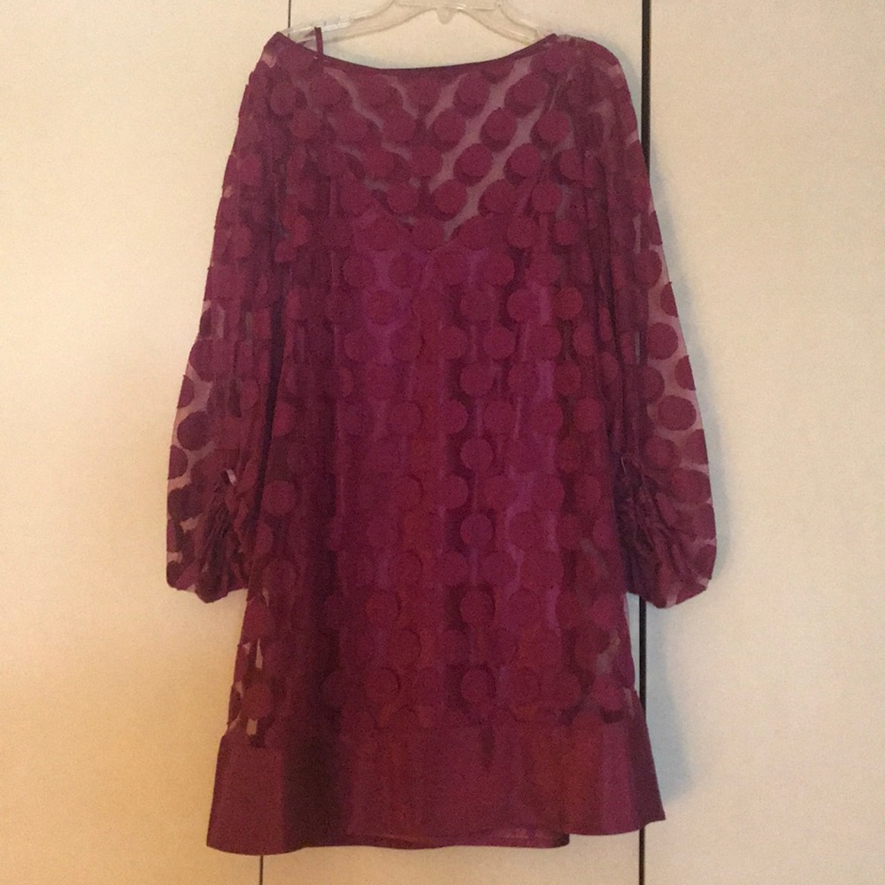 Polka dot sheer dress